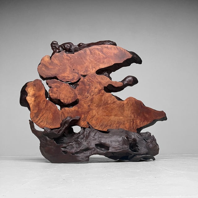 Japanese Burl Wood Decoration For Sale - Image 15 of 15