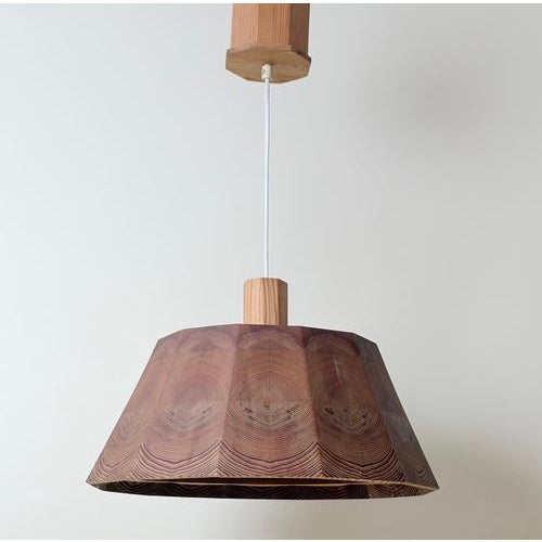 Gold Scandinavian Sculptural Pine Wood Pendant Light, Sweden, 1980 For Sale - Image 8 of 18