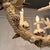 Beige 1990s Coastal Grand French Hand-Crafted Grotto Nautical Multi-Stem Coral Shell Chandelier For Sale - Image 8 of 16
