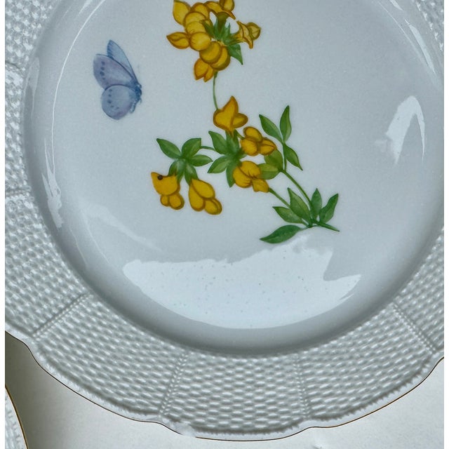 Vintage Nymphenburg Porcelain Botanical Plates – Set of Four For Sale - Image 11 of 11