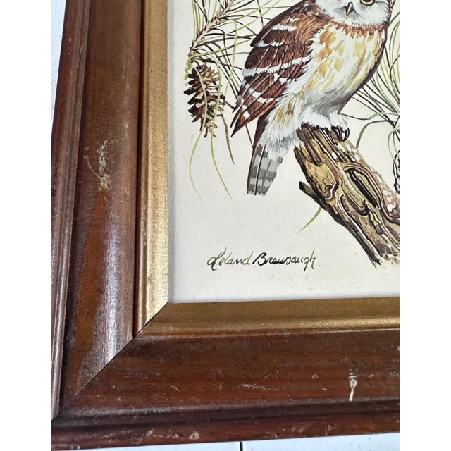 Mid-Century Modern 1970s Pair of Owl Paintings in Wooden Frames, Signed by Artist For Sale - Image 3 of 7