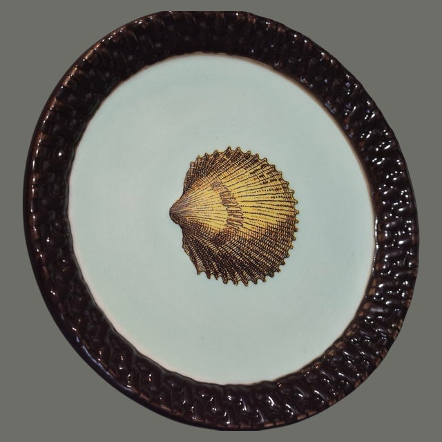 Late 20th Century Coastal Small Sea Shell Mud-Pie Fiji Tidbit Dishes 5'' Diameter - Set of 4 For Sale - Image 4 of 9