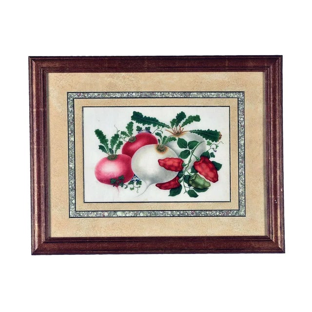 China Trade Watercolor and Gouache on Pith Paper Set of Twelve Paintings of Fruit and Flowers For Sale In Philadelphia - Image 6 of 13