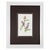 English Antique Botanical Print Gallery | Set of 8 F. Edward Hulme Chromolithographs, Framed For Sale - Image 3 of 12