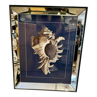 Shell Print Mirror Frame For Sale