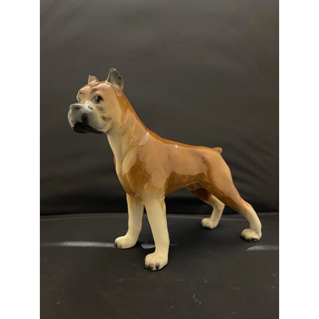 German Porcelain Figure of a Boxer Dog, Early 20th Century