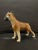 German Porcelain Figure of a Boxer Dog, Early 20th Century