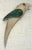 Vintage Emilia Castillo Parrot Malachite Lapis Bottle Opener For Sale - Image 10 of 12