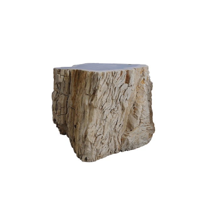 This striking side table is carved from a solid piece of petrified wood and forms part of a set, with the matching piece...