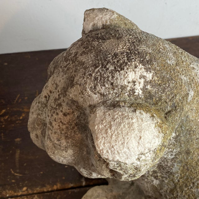 Antique Reclining Lion Sculpture on Base in Carved Stone, 1890s For Sale - Image 14 of 18