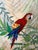 Mid-Century Modern 1960s Lee Reynolds Studio Painting of Two Macaw Birds in a Tropical Setting For Sale - Image 3 of 5