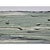 Oil on high quality 'Hahnemuhle' Fine Art Canvas Grain paper. Original artwork by Diane Grant. Unique Piece. *From a...