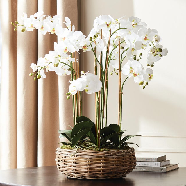 Early 21st Century Phalaenopsis Orchid Bowl Drop-In 35" For Sale - Image 5 of 6