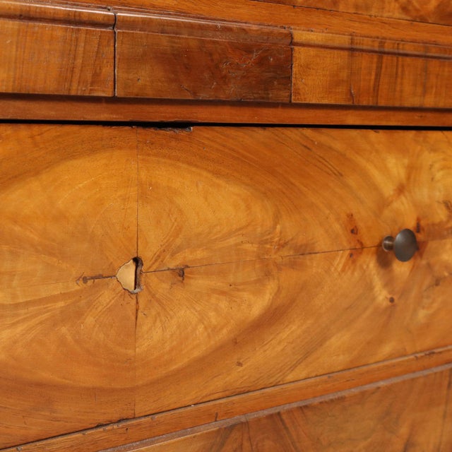 Brown Italian Bookcase in Walnut For Sale - Image 8 of 12