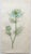 After Sowerby, Botanical Prints, 1793, Lithograph, Set of 12 For Sale - Image 4 of 14