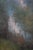 L. Stephano Impressionist Cattle Along Forest Path Landscape Oil Painting 51" For Sale - Image 10 of 12