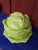 1960s Ceramic Cabbage Tureen & Underplate Set- 2 Pieces For Sale - Image 4 of 4