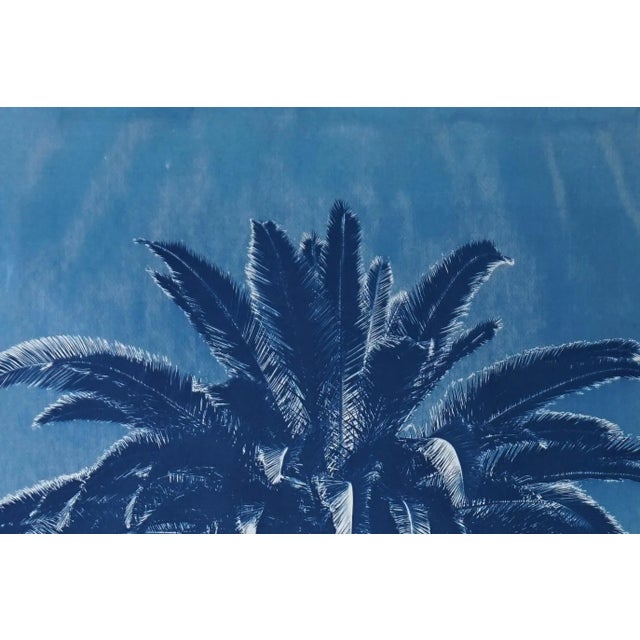 Paper "Marrakesh Majorelle Palm", Cyanotype on Watercolor Paper, 100x70cm, Tropical Art 2020, Limited Edition For Sale - Image 7 of 9