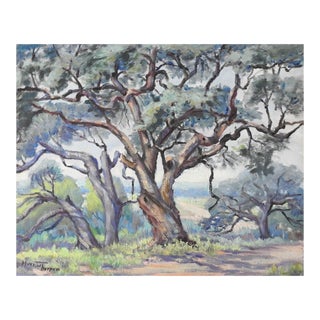 Mid 20th Century Impressionist Oak Tree Landscape Painting For Sale