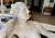19th-Century Italian White Marble Sculpture Reclining Nymph Woman For Sale - Image 12 of 18