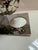 Terzani Orten'zia Modern Wall Sconce For Sale In San Francisco - Image 6 of 15