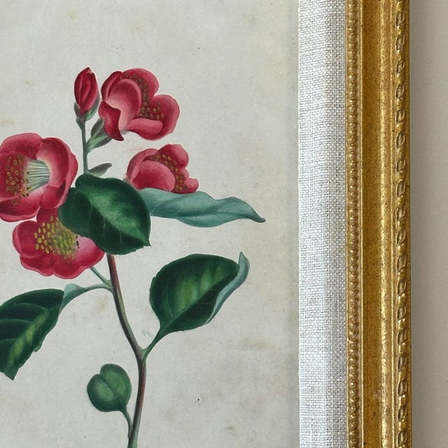 Antique 19th Century Hand Painted Watercolor Victorian Botanical Prints in Gilt Frames For Sale In Philadelphia - Image 6 of 9