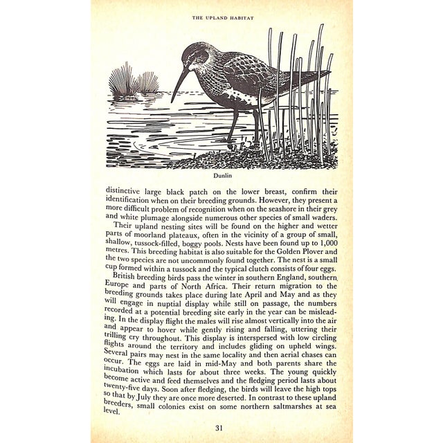 "British Birds: Lifestyles and Habitats" 1982 Prestt, Ian For Sale In New York - Image 6 of 9