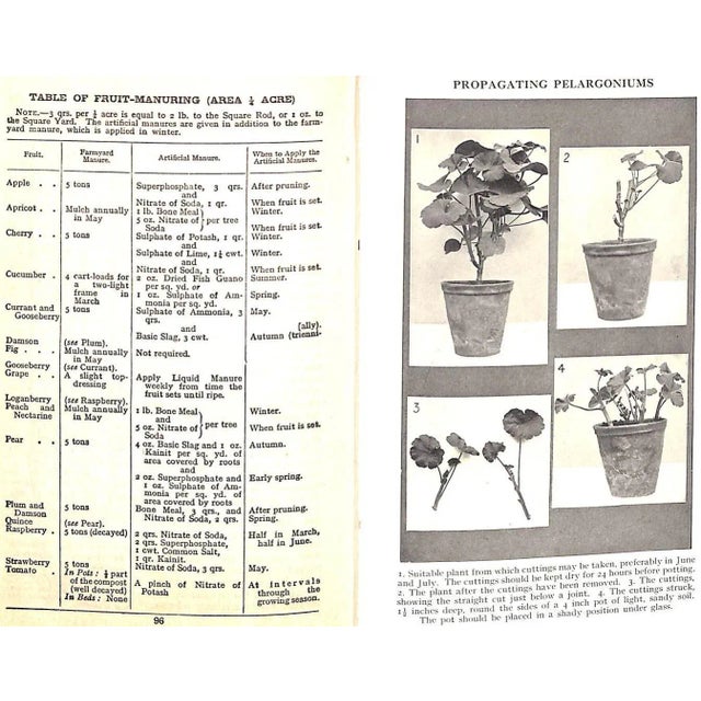 Late 20th Century "Ward Lock's Book of Gardening: An Abc of Garden Management" For Sale - Image 5 of 9