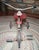 Art Deco Gendron Wheel Company, "Pioneer" Tricycle For Sale - Image 3 of 15