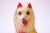 Yellow 1950s American Painted Chalkware Collie For Sale - Image 8 of 11
