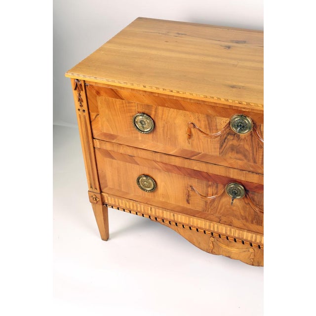 Wood Louis Seize Chest of Drawers in Walnut, 1800s For Sale - Image 7 of 11