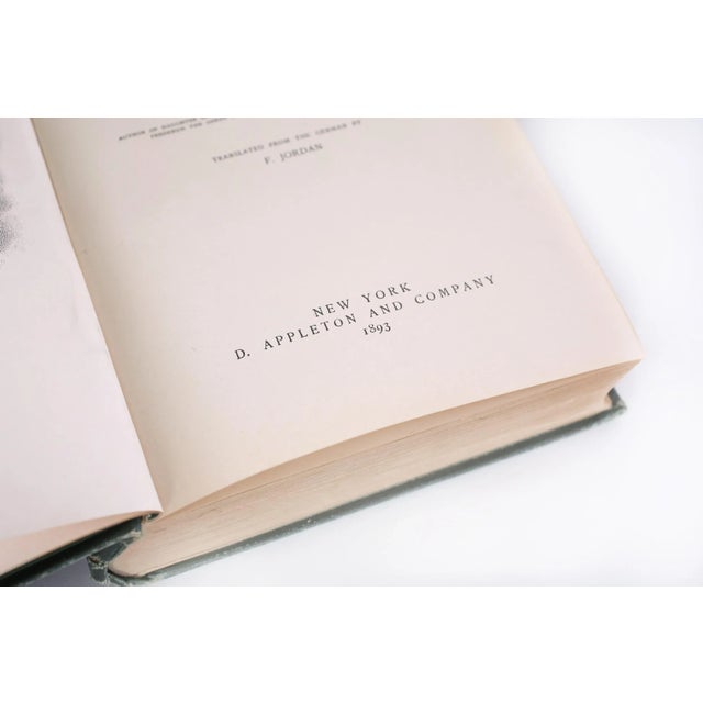 Animal Skin Collection Leather Bound Library Book Set - 7 Pieces For Sale - Image 7 of 11