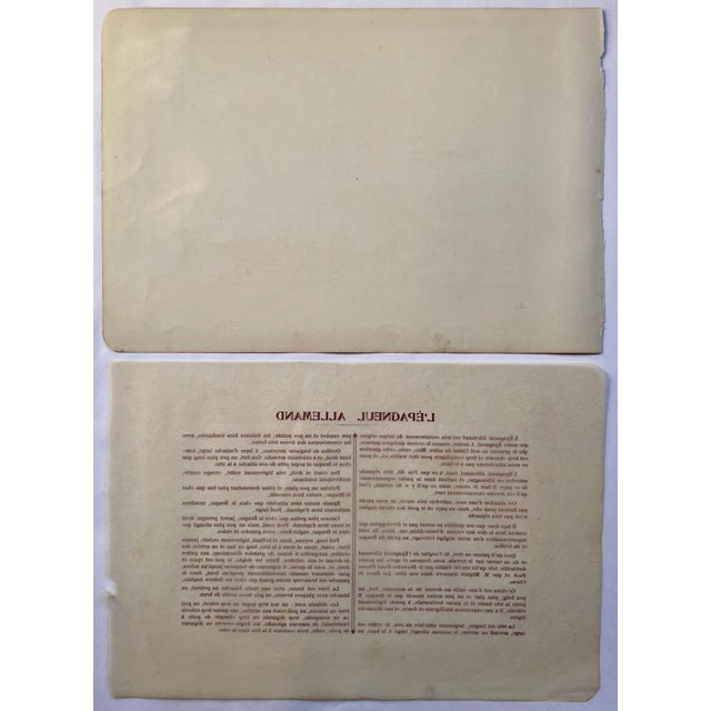 Illustration 1907 French Photogravure Print Of” l'Epagneul Allemand” or a German Spaniel For Sale - Image 3 of 3