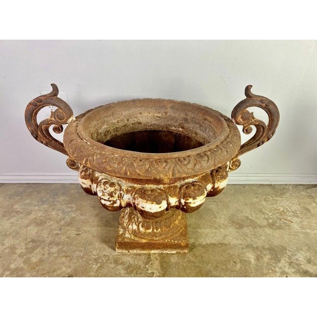 Large Pair of Antique Cast Iron Urn Planters, Europe, Early 20th Century For Sale - Image 9 of 16
