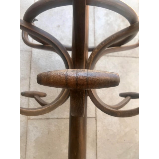 Wood Mid-Century Art Nouveau Style Coat Rack in the Style of Thonet For Sale - Image 7 of 17