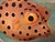 Hand-Painted Tropical Reef Fish Gallery-Wrapped Canvas Painting For Sale - Image 10 of 12