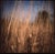 Paul Cooklin, Wild Grass, Suffolk, Edition of 50 For Sale - Image 6 of 6