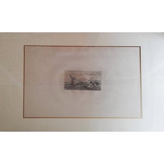 Giovanni Fattori, Stop of Donkeys, 1925, Etching For Sale
