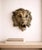 Upgrade your home décor with this stunning antique-style lion head wall mount, crafted from real metal and finished in a...