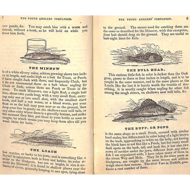 "The Young Anglers' Companion" 1830 For Sale - Image 11 of 11