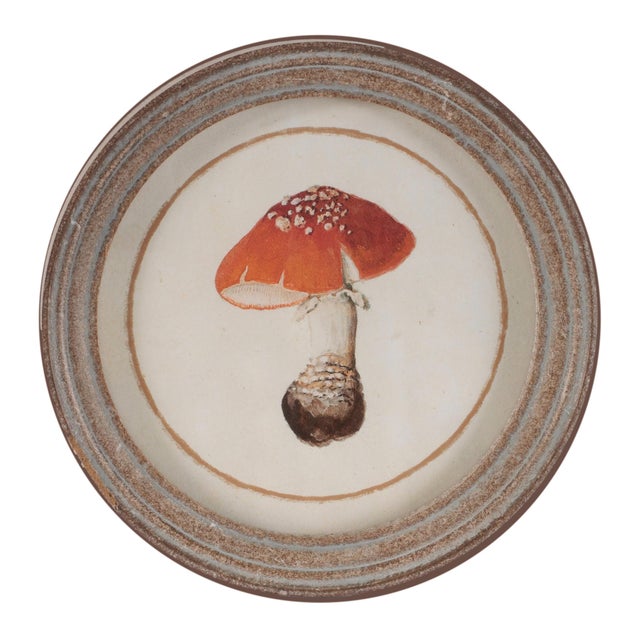 2020s Framed Mushroom Print (Set of 4) For Sale - Image 5 of 7
