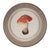 2020s Framed Mushroom Print (Set of 4) For Sale - Image 5 of 7