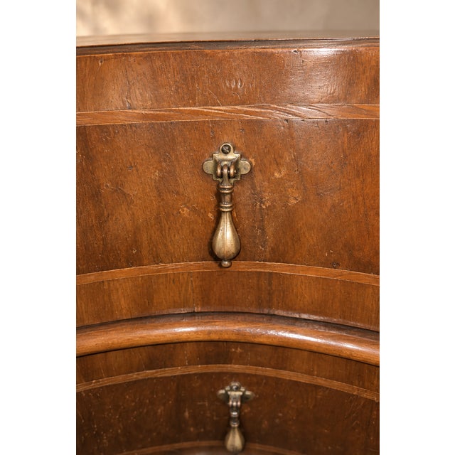 Antique Italian Baroque Style Burl Walnut Chest For Sale - Image 4 of 8