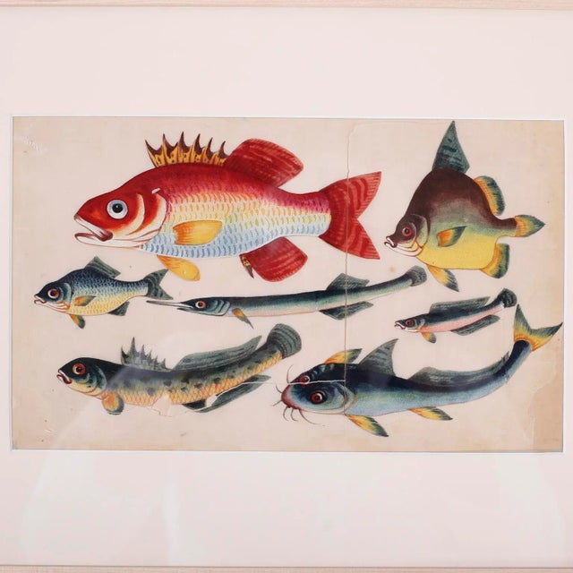 Early 19th Century Set of Three Chinese Pith Paintings of Fish For Sale - Image 5 of 8