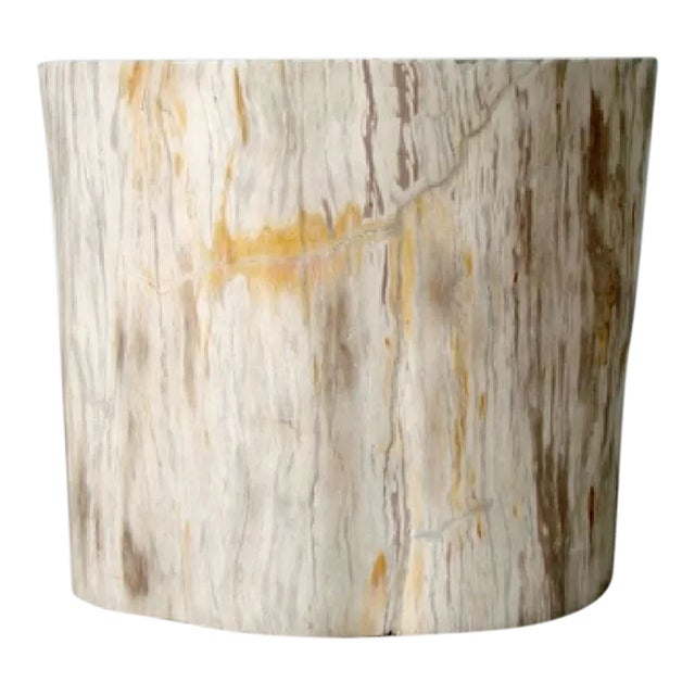 Organic Petrified Wood Stump #315 - Supellex For Sale