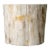 Organic Petrified Wood Stump #315 - Supellex For Sale