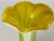 1970s Venitian Vase in Green and Yellow Color from Venini, Italy, 1970s For Sale - Image 5 of 14