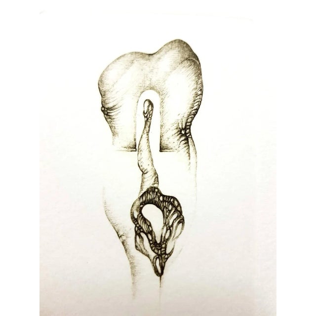 Early 21st Century Fred Deux - Grey Surrealism VI - Signed Original Etching For Sale - Image 5 of 7