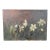 19th Century Country Primitive Rustic Naive Oil Painting of Narcissus or Daffodil Flowers For Sale