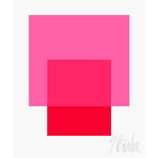 The Interaction of Bright Pink and Red Fine Art Print 20" X 24" by Liz Roache For Sale